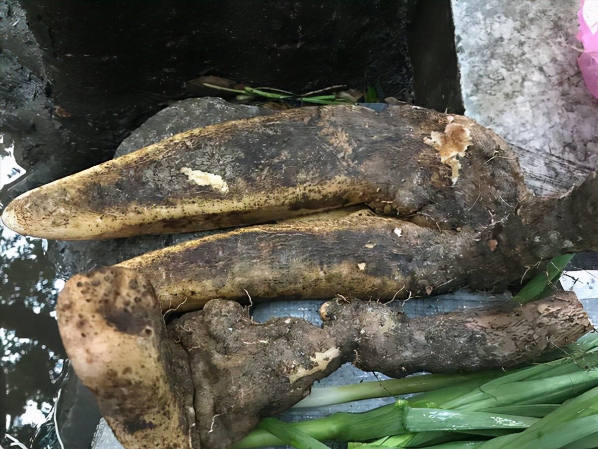 这些土货有点小贵，甜香粉糯，多吃长个不长肉，为了孩子值得买