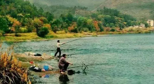 秋季掌握这些技巧,鱼获猛翻10倍,大鱼疯狂咬钩!