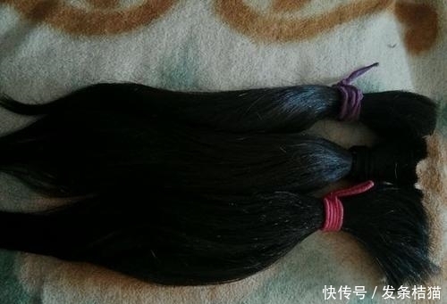 农村俗语头发硬而粗,一生好辛苦,啥意思?