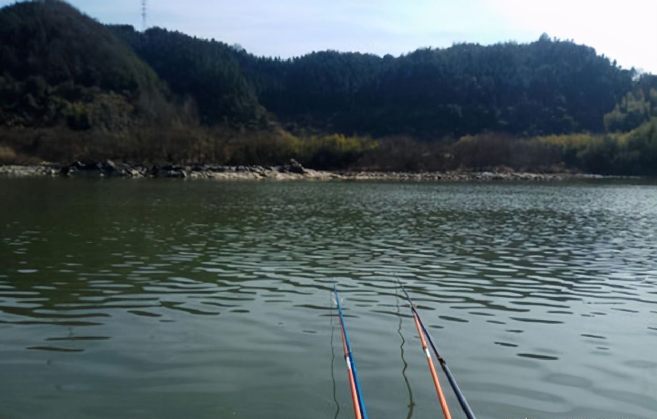  钓到|河沟钓到“鲫鱼王”，足有七斤重，有人要买走，钓友做法让人钦佩