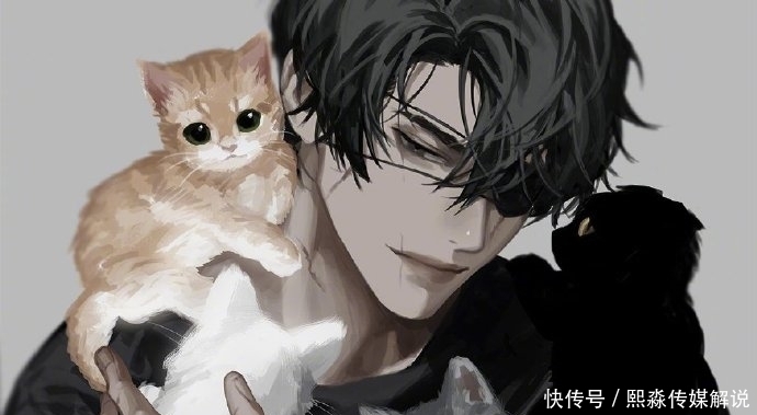 画师太太笔下攻气十足的人物,收了!