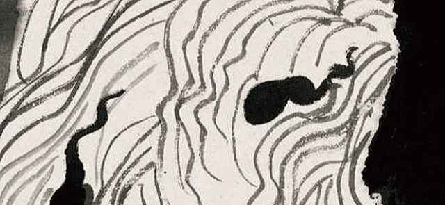 母马#公马和母马被牵到一起,结果直接干起仗来了,这画面不好意思看