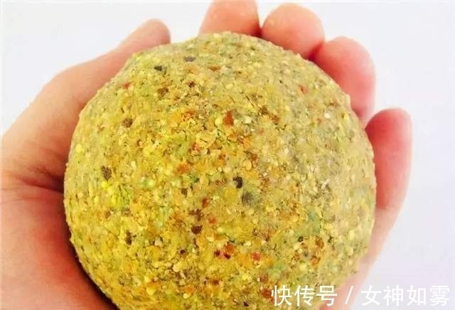 饵料|告别一学就会一开就废,只要掌握这几点,小白开出的饵料也能连杆