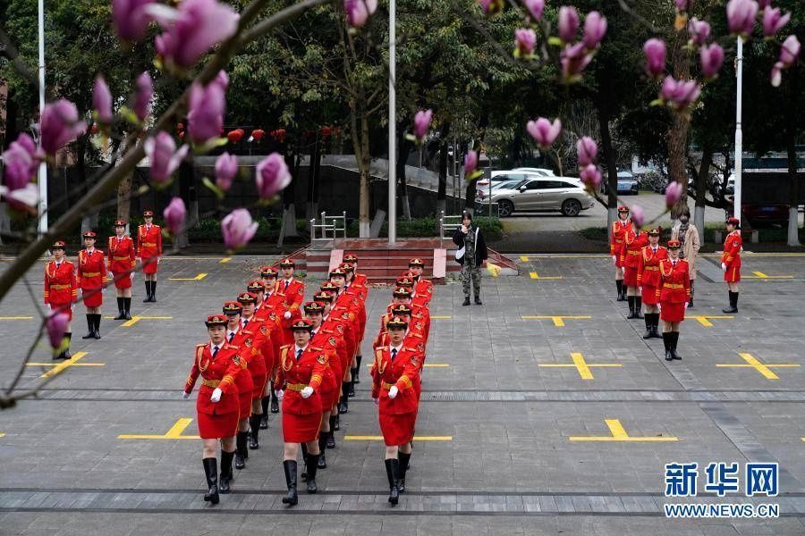 玉兰花开校园满目春