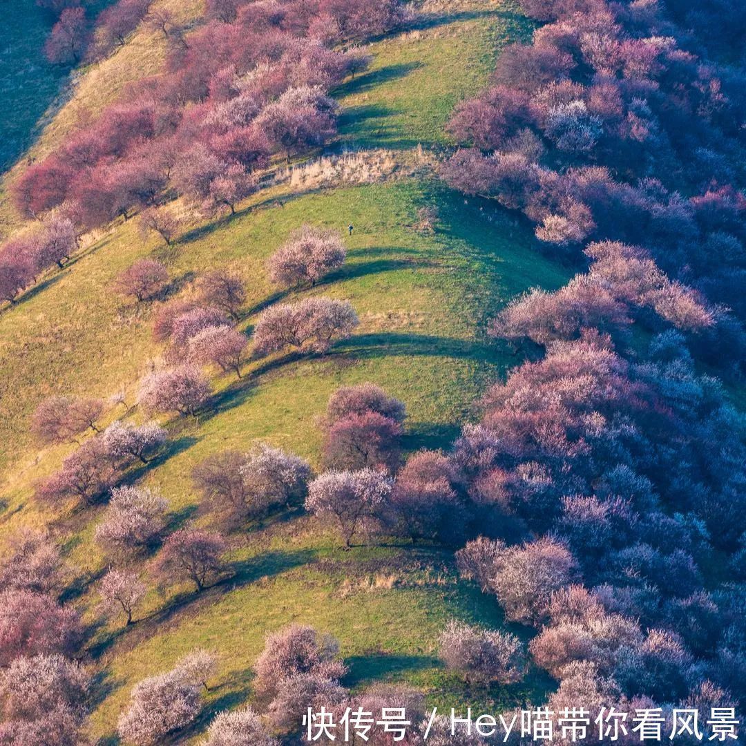 七夕节|七夕节快到了！这几个浪漫旅游地，你值得拥有！单身狗勿入