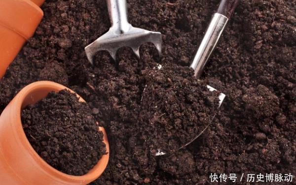 预警:家里养花,将这3样“废品”扔掉就是在扔钱