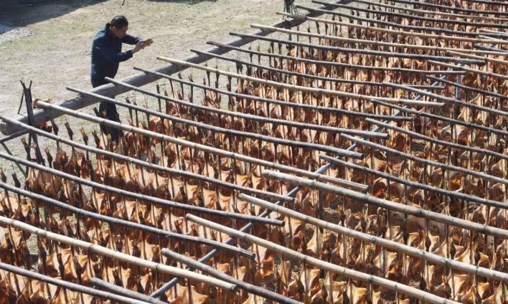  场面|阳江的“名场面”来了！