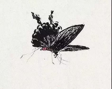 俞致贞|收藏!国画蝴蝶纸上来感觉蝴蝶在动,太逼真了!