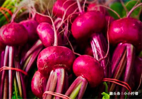 荠菜|羡慕别人不生病,4种食物要多吃,补充营养,增强体质