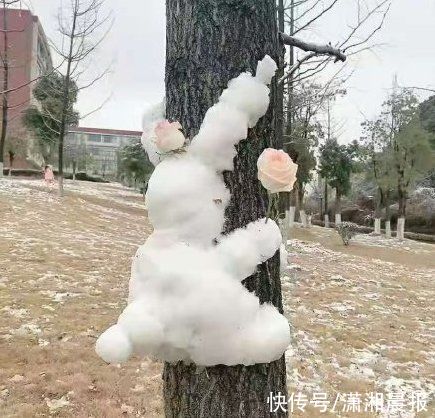 秀雪|南方多地迎来今冬初雪！网友：南方孩子的冬季限定快乐来了