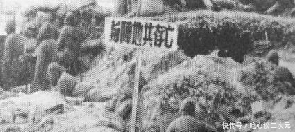 林彪|塔山防线吃紧,作为总预备队的李天佑纵队,林彪为何不用?