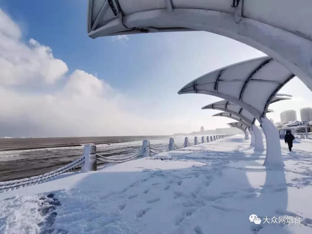 雪景|烟台终于下雪了！（附烟台绝美冰雪图）