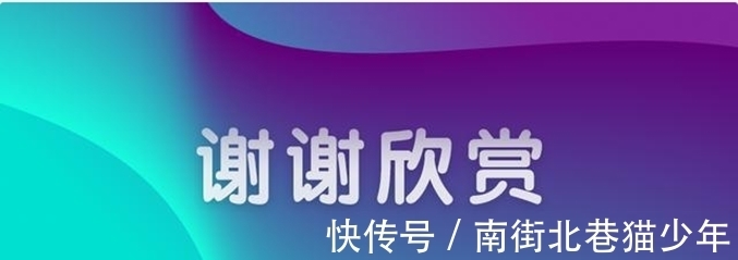 神奇力量|奇闻：有一棵松树，它大半的根径都生长在空中，竟千年不倒