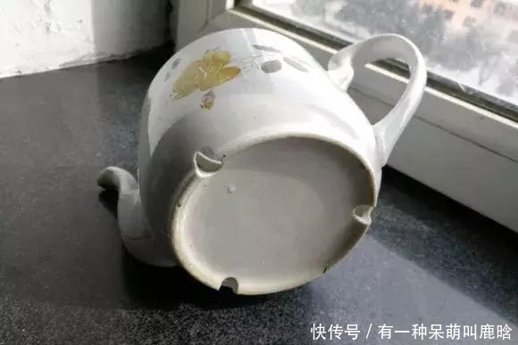 邻居捡破烂养花,全家都反对,栽上花后都笑了!