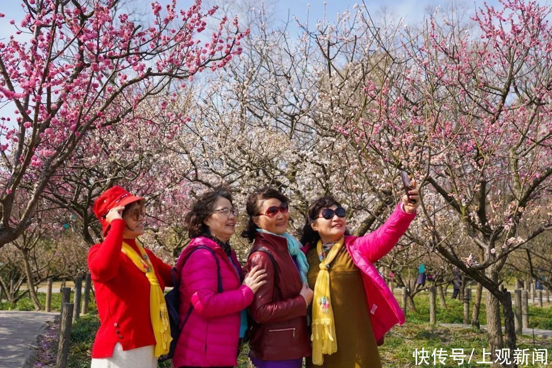 雨霖霖，花开正好，挡不住赏春的脚步……