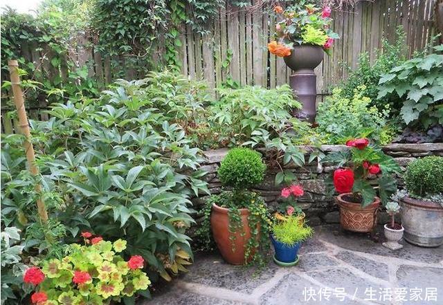 透气性|养花大爷透露这“3种料”放土里,比营养土还好用,养1盆爆1盆