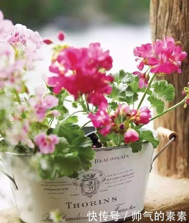 只要脑洞够，万物皆可花盆