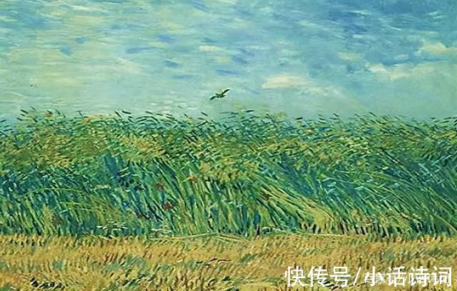 菲比|《麦田里的守望者》:书中的守望者是谁?读者:这个守望者叫善良