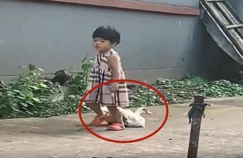 孩子|女儿暑假到姥姥家,宝妈去接时差点认不出,小公主竟成了“村霸”