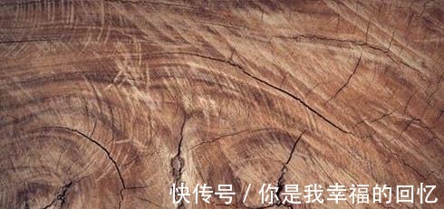 樟子松|买实木家具什么木材好越不知道越要搞懂这几点,闭眼也能挑好的
