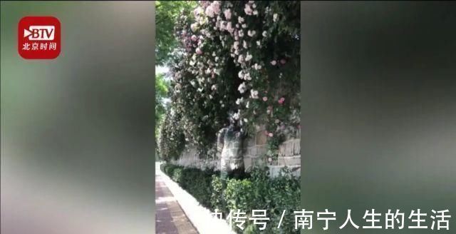 孩子|小伙用百变画笔练就“隐身术”“另类”创意,像变魔术一样惊喜不断