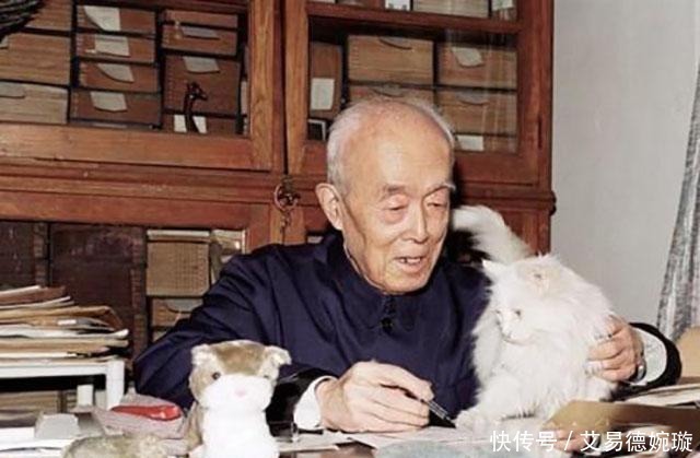 养生术|季羡林:晚年多灾多病,却平安活到98岁,首创“三不”养生术