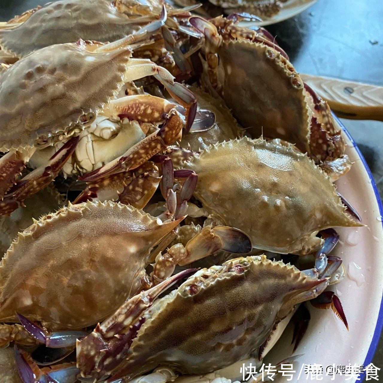 好吃|梭子蟹怎样蒸才好吃？用冷水还是热水？教你方法，锁鲜锁汁肉肥美