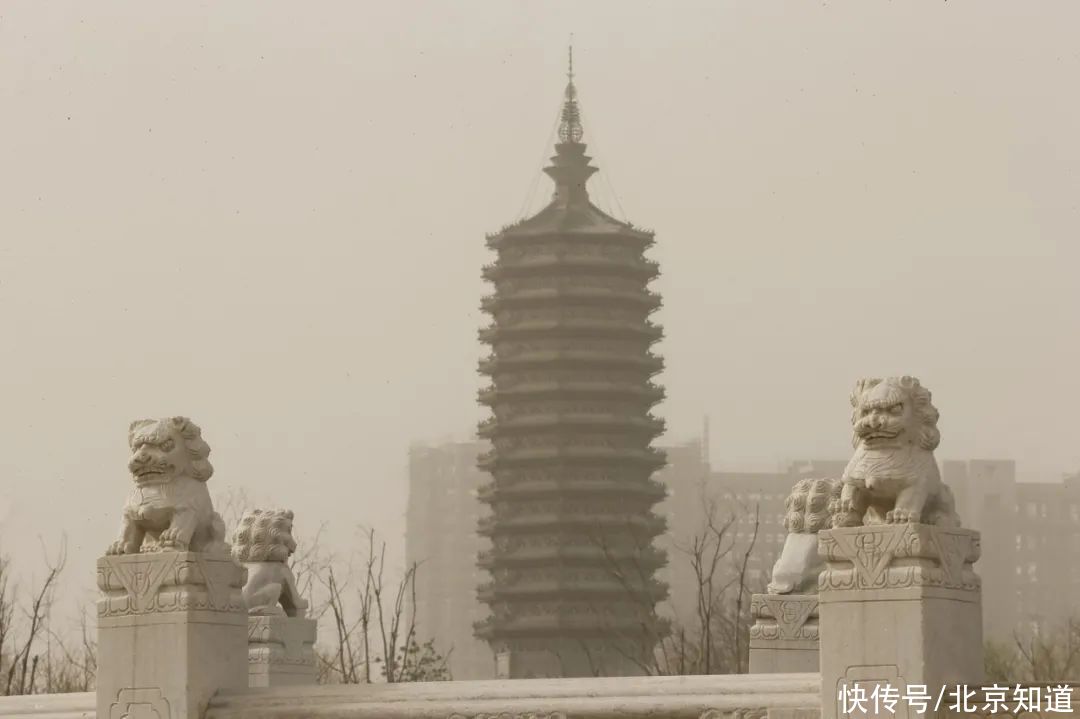 北京发布沙尘蓝色预警，这三大器官最易受损——