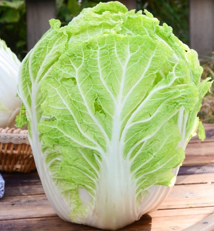 买白菜时,选绿的还是白的好老菜农不小心说漏嘴,别再买错了