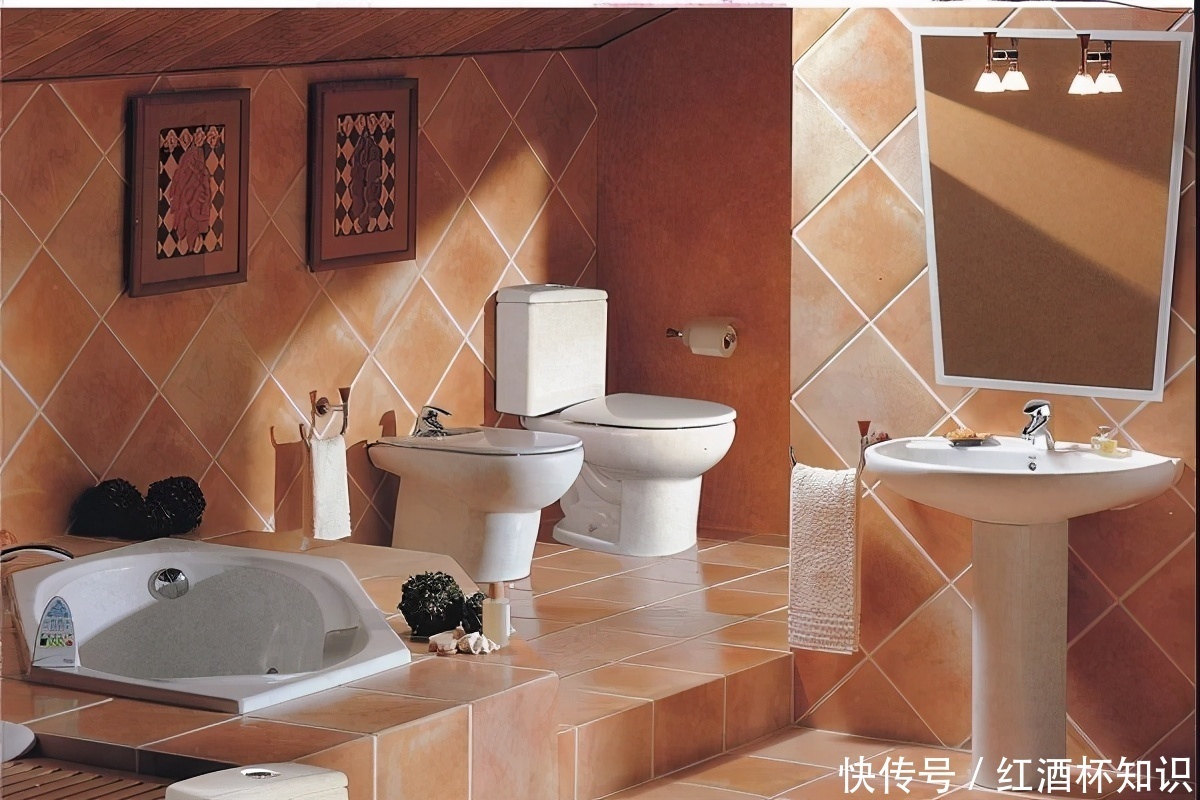 公共厕所你认为脏的地方,不是马桶而是这里