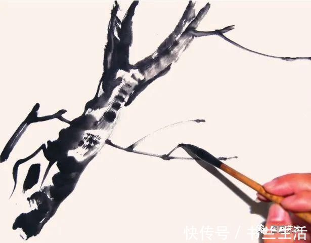 垂枝!图文教程:轻松学画写意木本花卉枝干