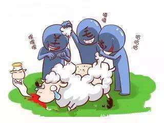 羊毛|电商羊毛党的发家致富的道路!