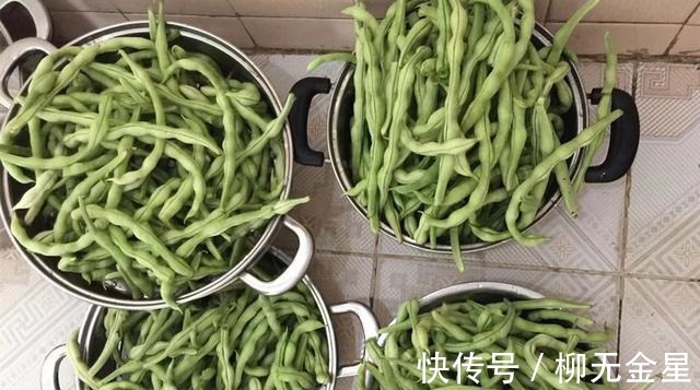 包饺子|三伏天，用它包饺子，比韭菜茴香鲜，清热消暑，我家一周吃4次！