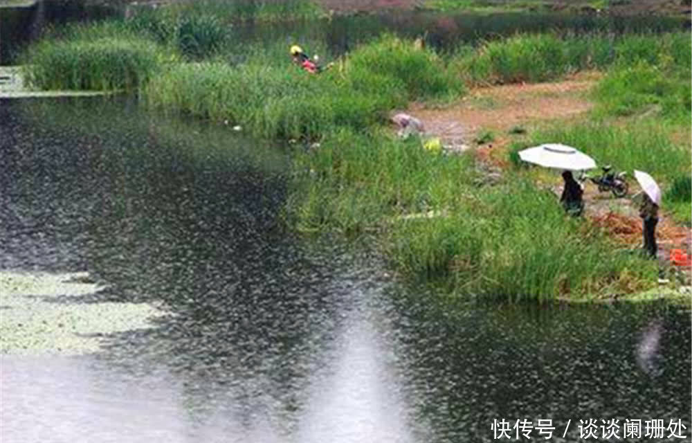季节|野钓选择钓位，凭借的是鱼类的“三趋”，按照习性来，位置差不了