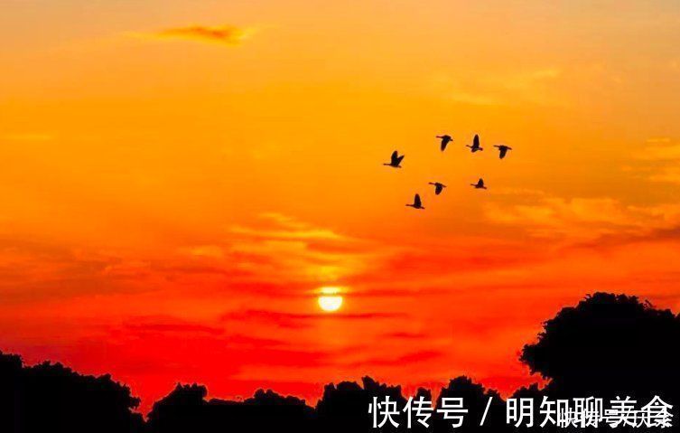 酬乐天咏老见示$刘禹锡晚年写下一诗,对待人生的积极态度,让人受益无穷