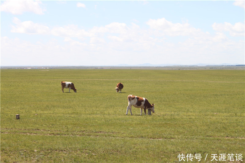 走进|走进草原，门可罗雀达达线，国道收费很败兴