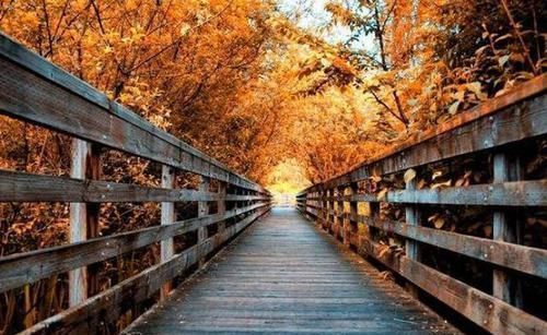 古人讲“夏不睡石,秋不睡板,春不露脐”,何意?生活中不妨留意