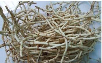 尿酸过高|尿酸和此物“不投缘”，若坚持泡水喝，尿酸痛风多半悄悄溜走！