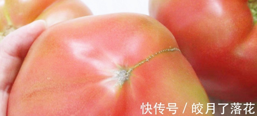 没人告诉你“激素西红柿”长啥样,今天和大家说说,记得告诉家人!