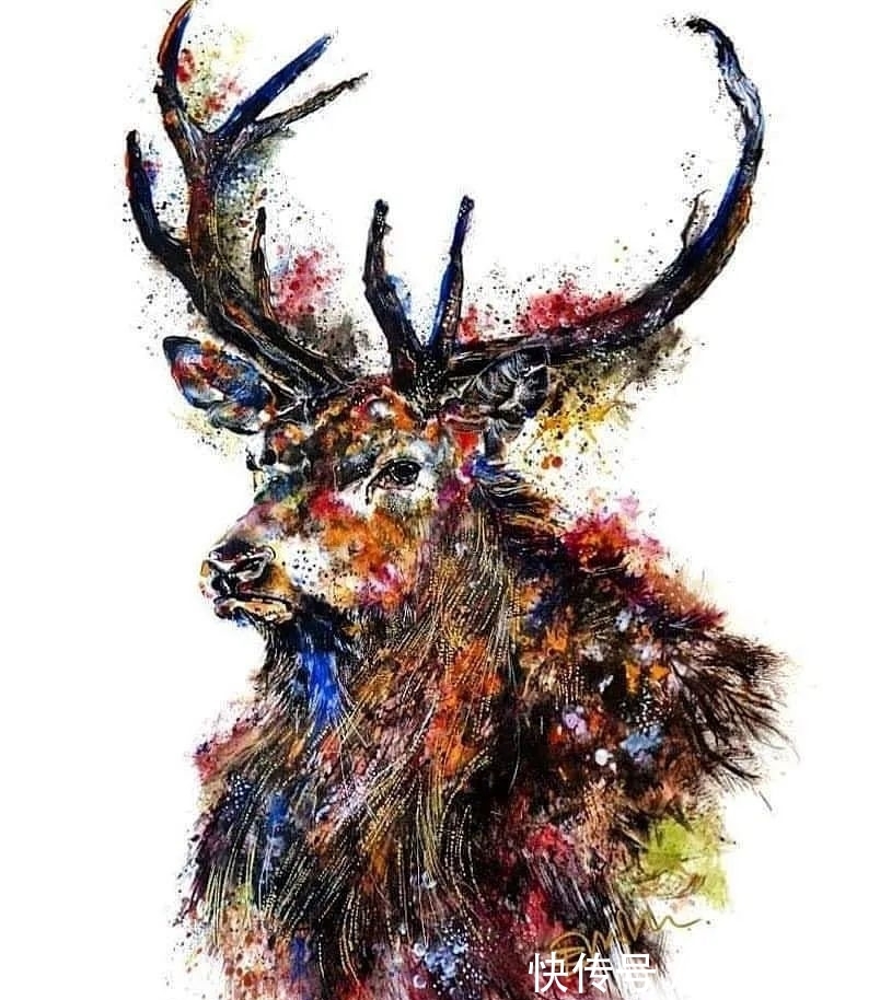 动物@她在一幅画里,画了一万种颜色,连斑马和大象都变成彩虹色