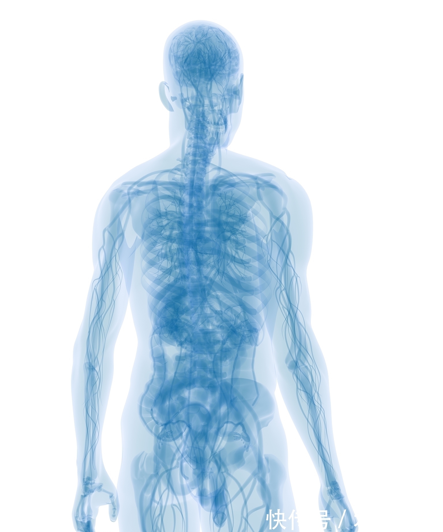 礼教@鲁迅——《狂人日记》