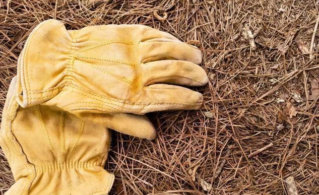 除了手动翻土,还能通过“加点料”改善土质,解决土壤板结困扰