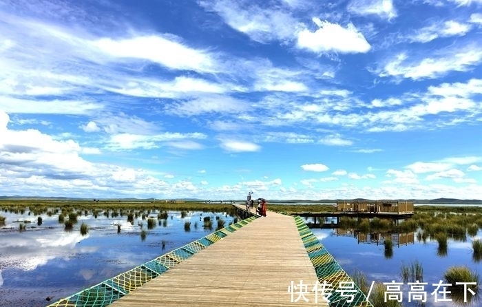 花湖|有一个美丽的地方叫若尔盖花湖