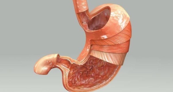 胃癌|有种胃炎给胃癌打下了基础，中药调治可及时逆转胃部状态