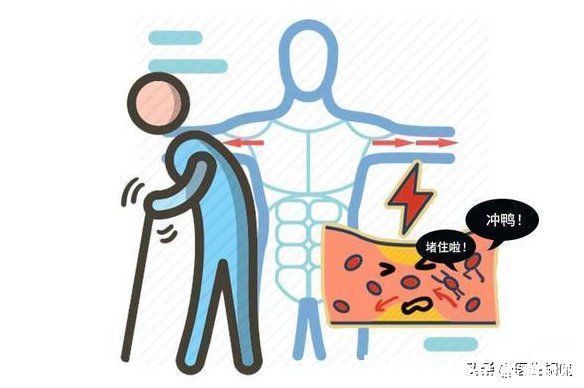 槐米|天然的血管“吸尘器”找到了!日常多吃5样,降血脂,远离血栓