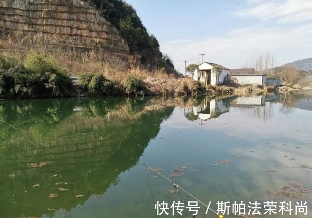 钓鱼|被电过的地方还能钓鱼吗?短时间作钓,只有2种对策方可一试