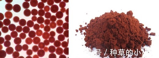 医生|夏季出油冒痘太闹心?皮肤科医生都在做的控油祛痘项目,赶紧安排