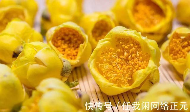 大熊猫|它被誉为是花卉界的“大熊猫”,观赏性强,泡茶煮汤效果更佳