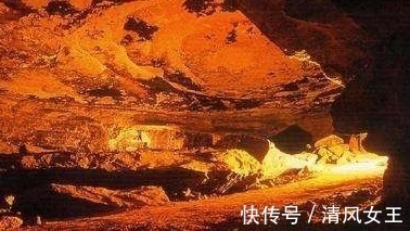 猛犸洞|10个冷知识,那些很少有人知道的世界之最