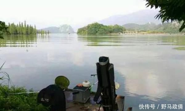 氧气|夏季钓鱼逐氧逐温,这些位置鱼儿成群,连竿上鱼很轻松